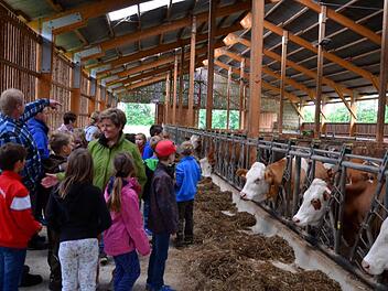Landwirt Georg Rauh erklärt seinen Besuchern den Stall und die entsprechenden Arbeitsabläufe. Foto: Andrea Spörlein