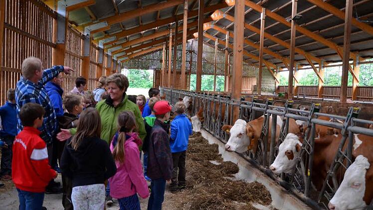 Landwirt Georg Rauh erklärt seinen Besuchern den Stall und die entsprechenden Arbeitsabläufe. Foto: Andrea Spörlein