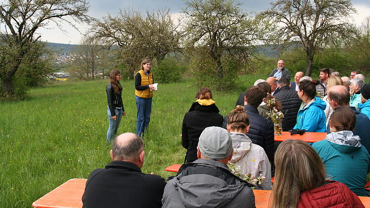 Landkreis Bamberg: Streuobst-Projekt feiert Auftakt - "alte und besonders wertvolle Best&auml;nde"
