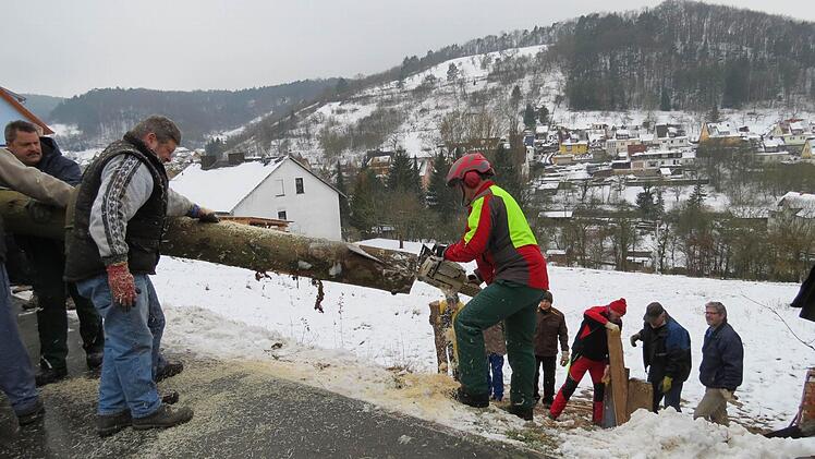 Ein Tross aus mehreren Traktoren brachte die "Bürgermeister"-Bäume an Ort und Stelle. Foto: Doris Bauer