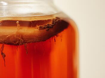 Kombucha ist ein beliebtes fermentiertes asiatisches Teegetr&auml;nk, das durch lebende Mikroorganismen zur Unterst&uuml;tzung der Darmgesundheit beitragen kann.