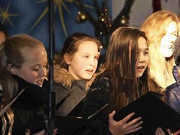 Der Chor des Gymnasiums war für das 15. Türchen des Adventskalenders zuständig.  Foto: Andreas Brandl