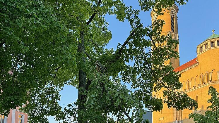 Bamberg: Rund 20 Einsätze in kurzer Zeit - Schneefall überrascht Bamberger Feuerwehr
