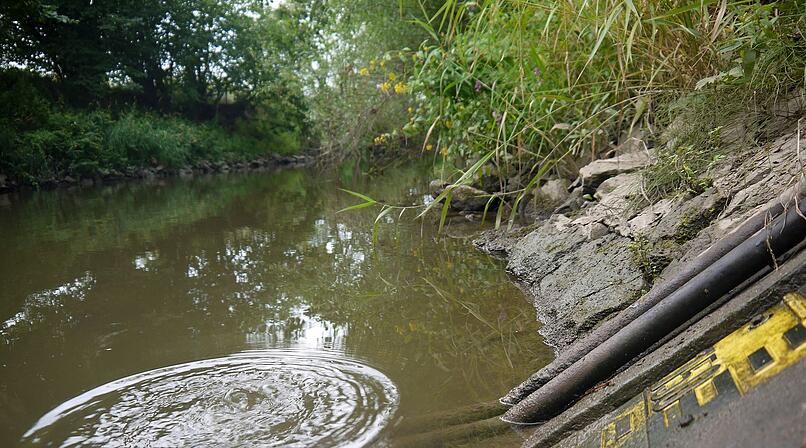 Niedrigwasser in Coburg und Umgebung: Beh&ouml;rden mit Appell