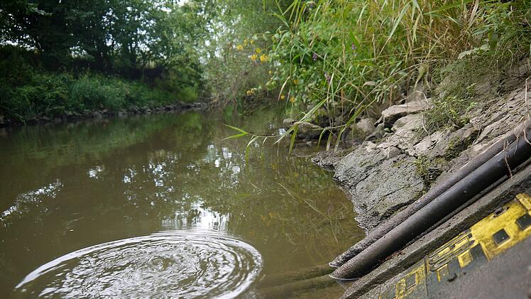 Niedrigwasser in Coburg und Umgebung: Beh&ouml;rden mit Appell