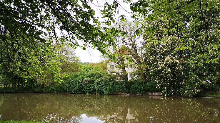 Fabrikschleichach mit dem Dorfweiher