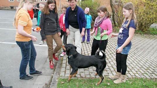 In der Pause wird getobt - und Hund Bruno ist natürlich der Star. Der Vierbeiner von Monika Herr liebt Kinder. Foto: Sonja Adam