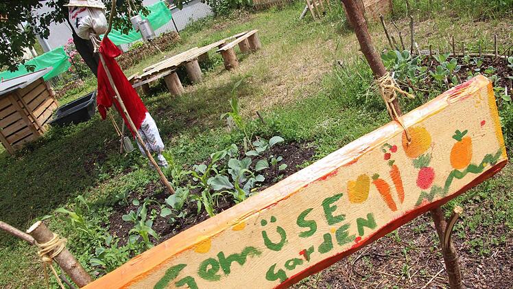 Der Gemüsegarten der Stadtoase. Foto: Sarah Dann