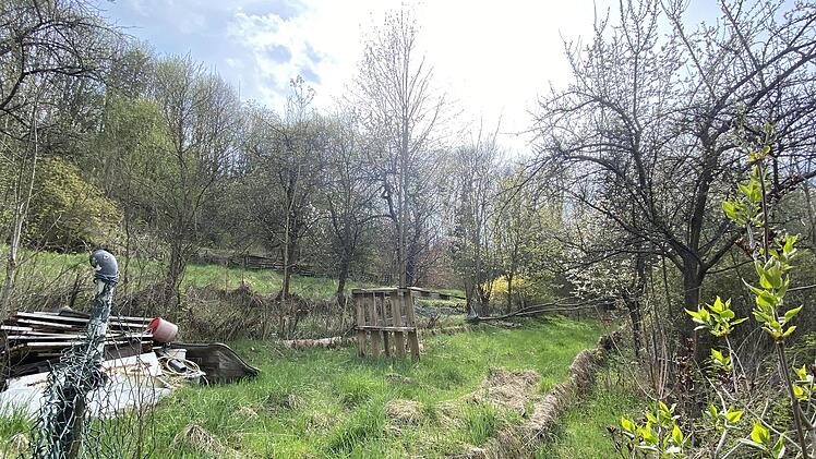 So sieht es derzeit in vielen Gartenparzellen in der Lindnersreuth aus. Aber das soll sich bald ändern. Foto: Stadt Kulmbach