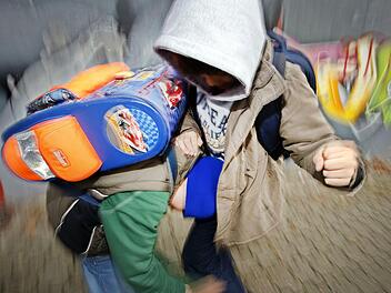 Wenn Sch&uuml;lerinnen und Sch&uuml;ler in der Schule Konflikte austragen oder sich dort pers&ouml;nliche Probleme manifestieren, sind Jugendsozialarbeiter sehr gute Ansprechpartner, wie Erfahrungen an elf Schulen im Landkreis Bad Kissingen zeigen.