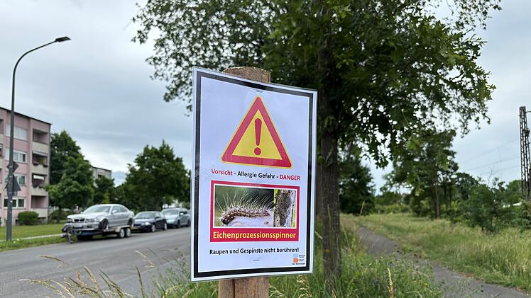 Schild warnt vor Eichenprozessionsspinner