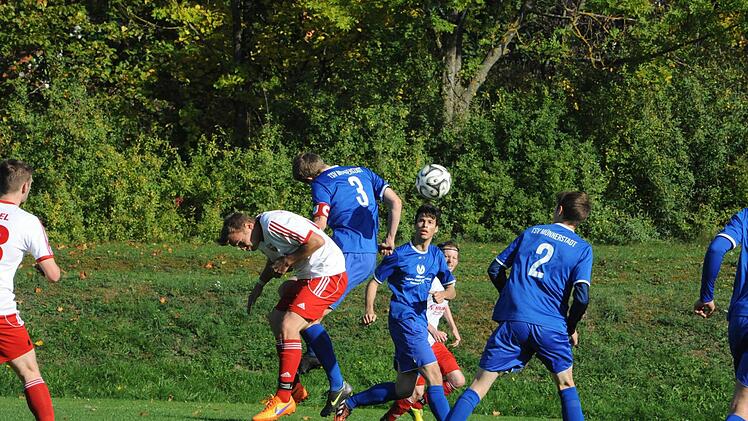 Blick auf das Spiel der Woche in Großwenkheim. Foto: Hopf