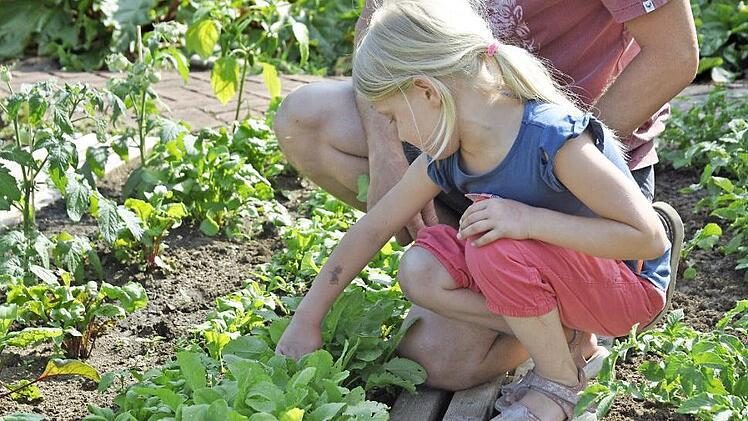 Auf eine Erkundungstour durchs Gem&uuml;sebeet k&ouml;nnen sich Kinder von sechs bis zehn Jahren begeben.  Fotos: Bund Naturschutz