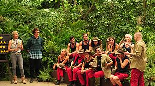 "Ich bin ein Star - Holt mich hier raus!": Tag 1 im Dschungelccamp 2019