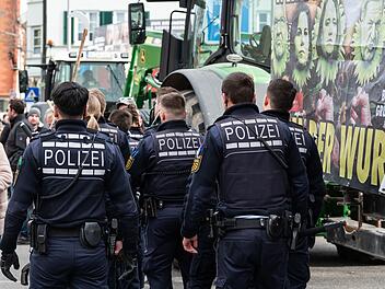 Politischer Aschermittwoch - Gr&uuml;ne