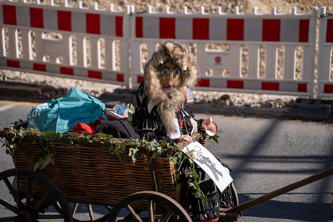 Fasching 2025 in Nürnberg!