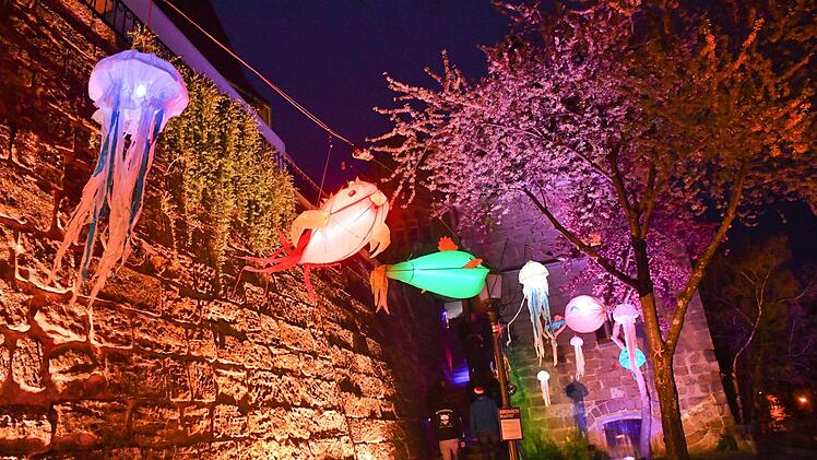 Impressionen von der "Kronach leuchtet"-Generalprobe. Foto: Ronald Rinklef