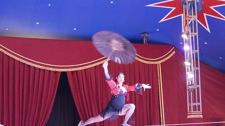 Artisten, Clowns und Tierdressuren sind noch bis Anfang Oktober beim "Circus Henry" in Dörfles-Esbach zu sehen. - Foto: Manja von Nida
