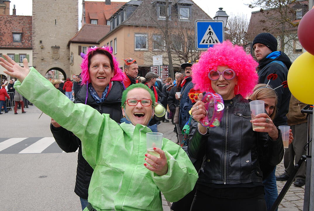 Landkreisfaschingsumzug