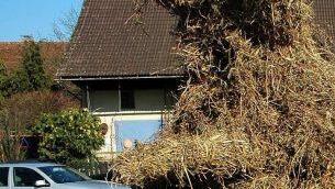 Effeltricher Faselecken ("Fosaleggn"): Am Faschingssonntag geht's richtig bärig zu. Handschuh