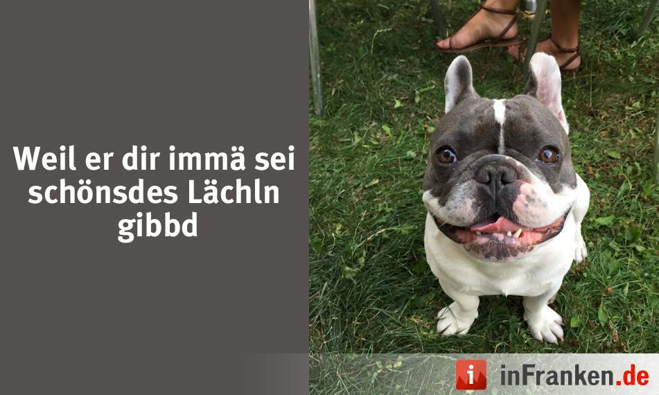 Foto: Bratsch Gustl