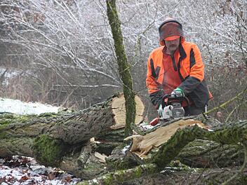 Ein Mitarbeiter des Stadtforstes zersägt die gefällten Baumstämme.Heike Beudert