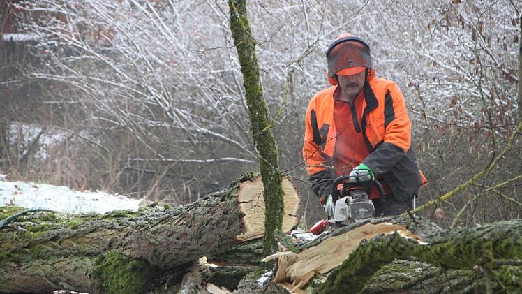 Ein Mitarbeiter des Stadtforstes zersägt die gefällten Baumstämme.Heike Beudert