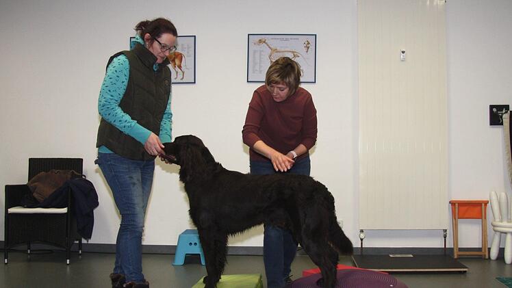 Anja Arnold kommt mit Tigger zur Behandlung