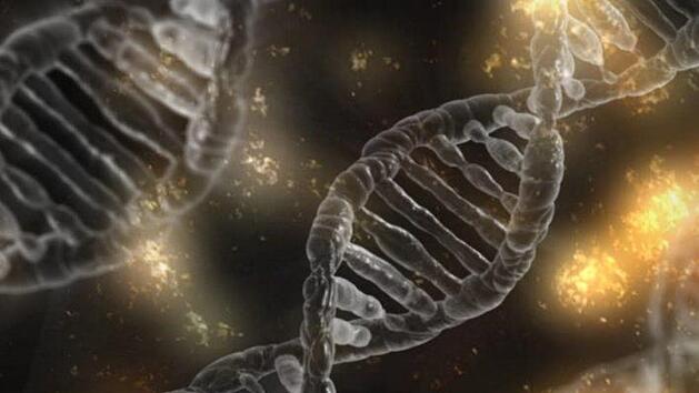 Der Gendefekt am Chromosom 15 verursacht Wachstums- und Entwicklungsstörungen. Ein ständiges Hungergefühl plagt die Betroffenen zusätzlich. Symbolfoto madartzgraphics/pixabay