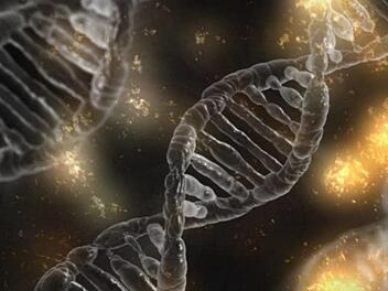 Der Gendefekt am Chromosom 15 verursacht Wachstums- und Entwicklungsstörungen. Ein ständiges Hungergefühl plagt die Betroffenen zusätzlich. Symbolfoto madartzgraphics/pixabay