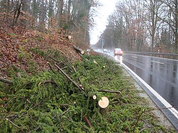 An der "Hainbuche" bei Obereschenbach fiel am Freitagabend ein Baum auf die B 27. Foto: Ralf Ruppert