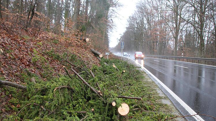 An der "Hainbuche" bei Obereschenbach fiel am Freitagabend ein Baum auf die B 27. Foto: Ralf Ruppert