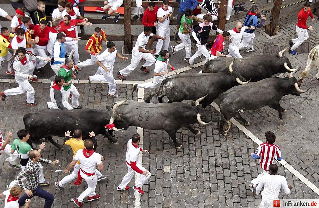 Stierhatz in Pamplona