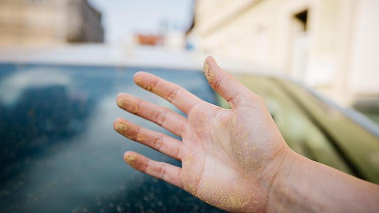 Schon wenige Minuten reichen und die Windschutzscheide ist wieder übersät mit gelbem Blütenstaub. Vor der Fahrt sollte er aber nicht einfach mit dem Scheibenwischer entfernt werden. Foto: Marian Hamacher