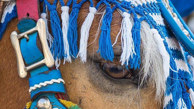 Eines der ältesten deutschen Handwerks- und Schützenfeste findet jährlich im oberfränkischen Hof statt: der Schlappentag. Foto: Nicolas Armer/dpa