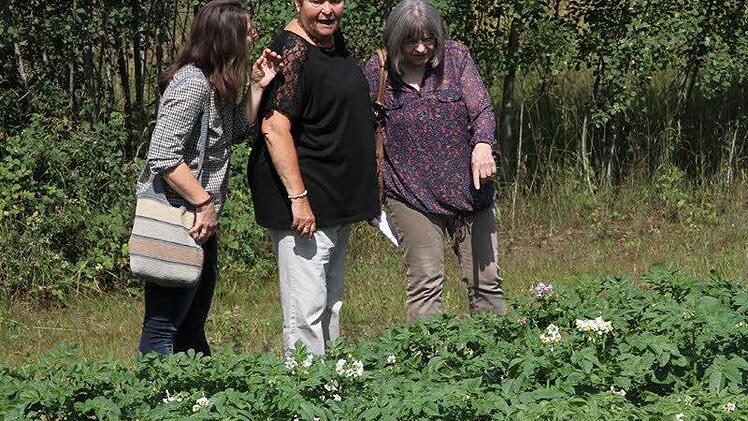 Der Naturgarten von Peter Hofmann und Petra Niedermeyer ist geprägt von Gemüseanbau und Wildwuchs. Foto: Mathias Erlwein