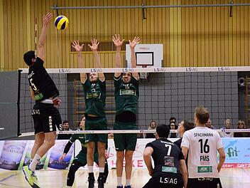 Im zweiten Satz gesteigert: Die Hammelburg Volleys mit (von links) Branko Damjanovic, Bruno Simunic, Oscar Benner und Lukas Spachmann taten sich erst schwer gegen die Freiburger.Till Oschmann