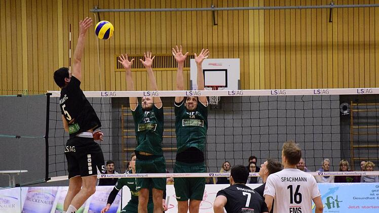 Im zweiten Satz gesteigert: Die Hammelburg Volleys mit (von links) Branko Damjanovic, Bruno Simunic, Oscar Benner und Lukas Spachmann taten sich erst schwer gegen die Freiburger.Till Oschmann
