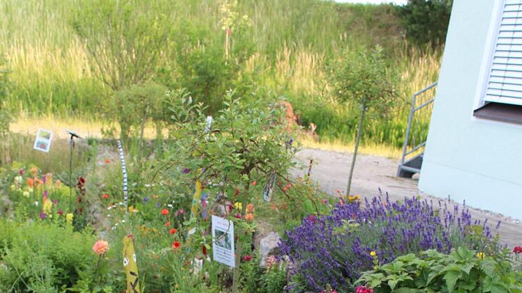 Im Garten-Club der Grundschule Igensdorf d&uuml;rfen die Sch&uuml;ler mitentscheiden, was gepflanzt wird. Daf&uuml;r gab es ein Preisgeld und eine Vogeltr&auml;nke. Foto: privat