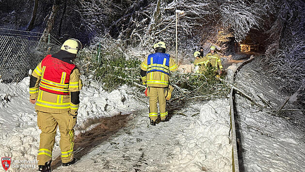 Feuerwehr Bamberg durch Schnee stark gefordert - Einsatz-&Uuml;berblick