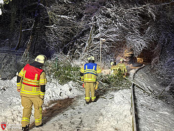 Feuerwehr Bamberg durch Schnee stark gefordert - Einsatz-&Uuml;berblick