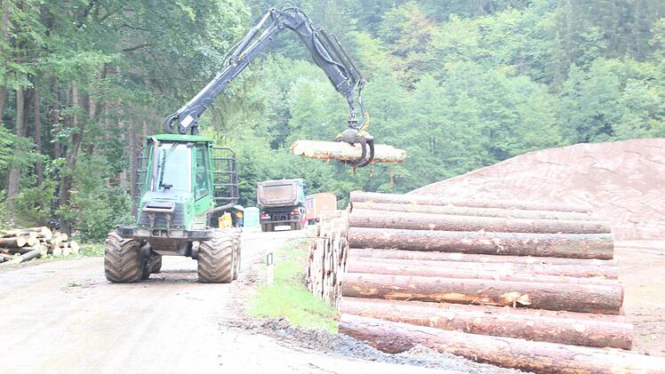 An der Felsnase türmen sich die Fixlängen. Mit einem Forwarder werden die Fünfmeterstücke zum Lagerplatz gebracht.  Foto: Friedwald Schedel