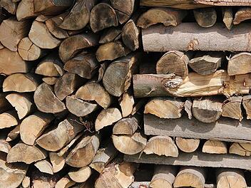 Der geplante Hiebsatz vom 4900 Festmetern Holz ist im Gemeinderwald nahezu hundertprozentig erfüllt.  Foto: Gerd Schaar