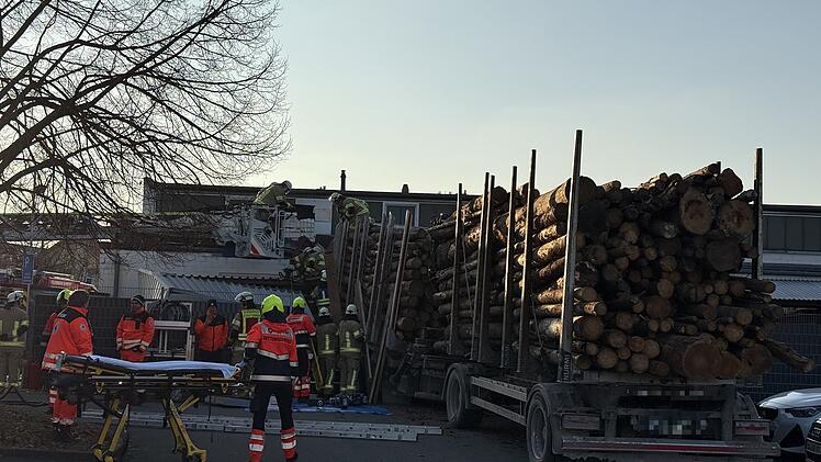 Holz-Lastwagen rast in Gebäude: Ampel niedergemäht