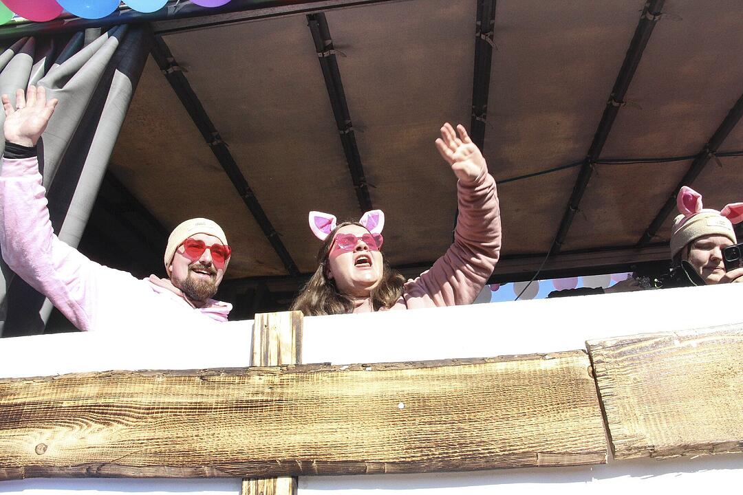 Fasching 2025 in Stadtsteinach!