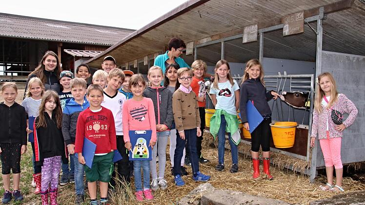Die "Renner" auf dem Hof der Familie Ley in Losbergsgereuth waren die Kälber. Foto: Helmut Will