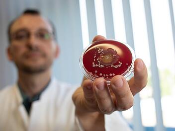 Unsichtbare Keime wachsen in der Petrischale  zu großen Bakterienstämmen heran: Im Bamberger Kompetenzzentrum für Hygiene-Technologie (HTK)  zeigt ein Wissenschaftler eine herangereifte Probe. Foto: Konstanze Wutschig