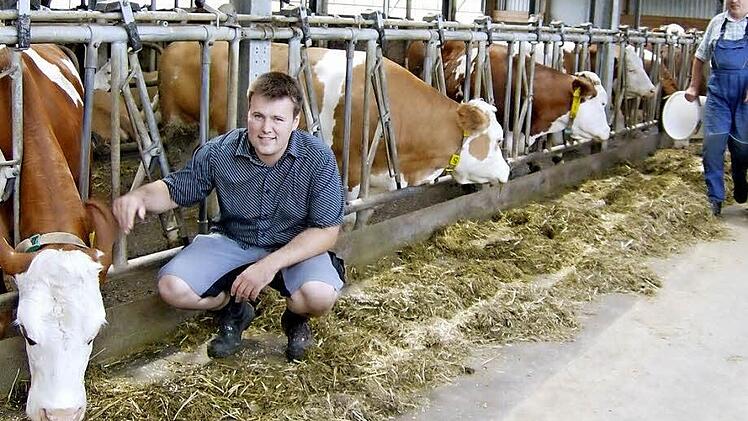 Im Stall von Jörg Porisch in Egloffsteinerhüll stehen 80 Milchkühe. Foto: Petra Malbrich