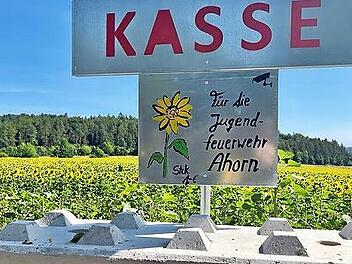 Die Sonnenblumen strahlten mit der Sonne um die Wette und lockten viele Käufer an.