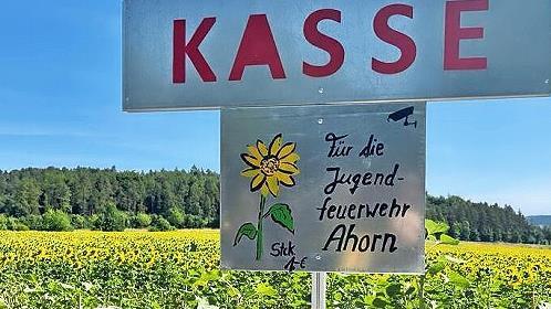 Die Sonnenblumen strahlten mit der Sonne um die Wette und lockten viele Käufer an.
